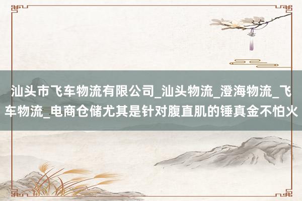 汕头市飞车物流有限公司_汕头物流_澄海物流_飞车物流_电商仓储尤其是针对腹直肌的锤真金不怕火