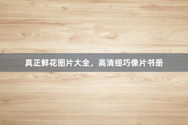 真正鲜花图片大全，高清细巧像片书册