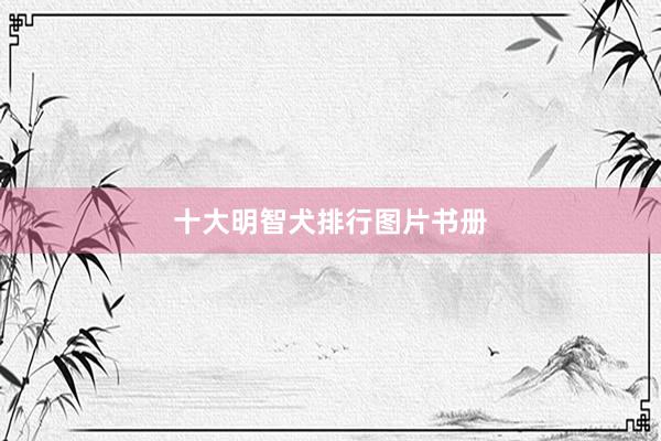 十大明智犬排行图片书册